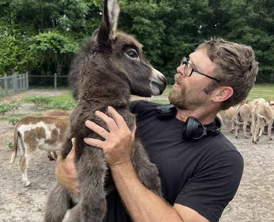 Nose to nose, Mike and baby donkey